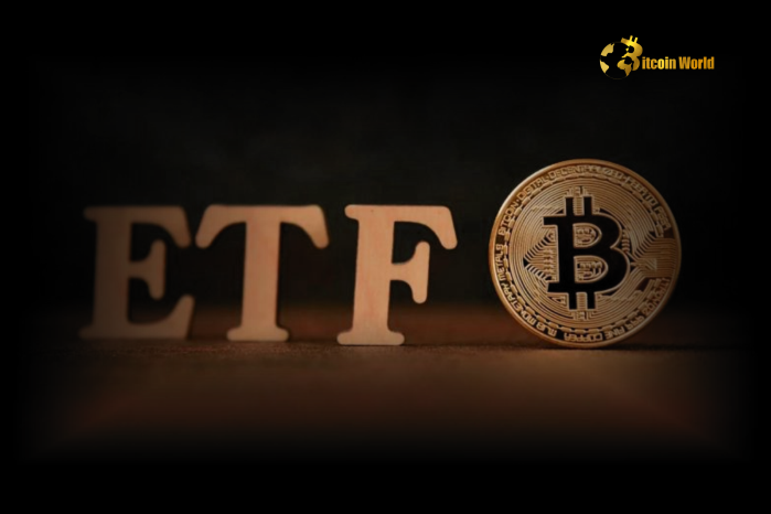 U.S. Spot Bitcoin ETFs’ BTC Holdings Tripled Over December Mining Output