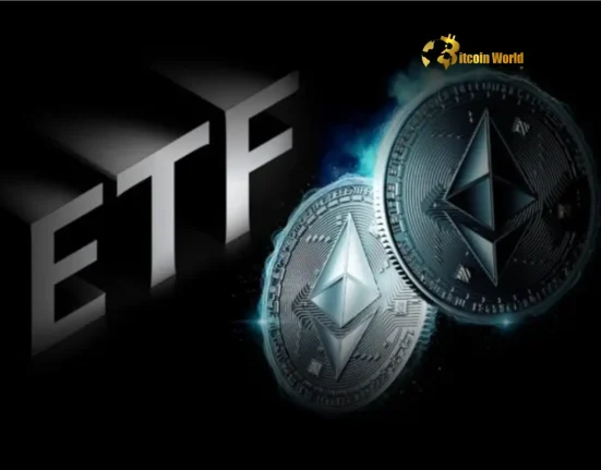 U.S. spot ETH ETFs Face Crucial $17.6M Outflow Blow