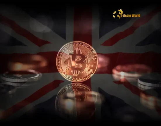 UK Crypto Regulation Alarming Ban Considered on Borrowing for Investments