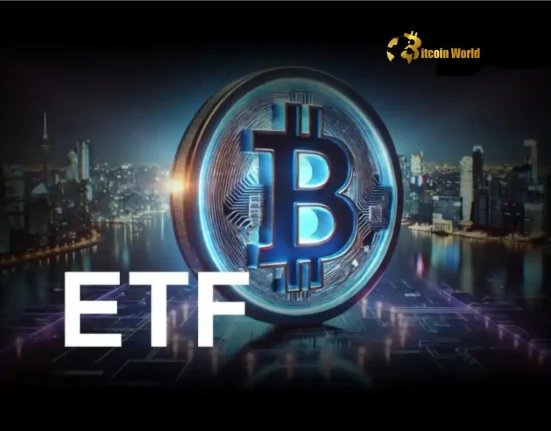 Surging US Spot Bitcoin ETF Inflows Signal Strong Market Confidence