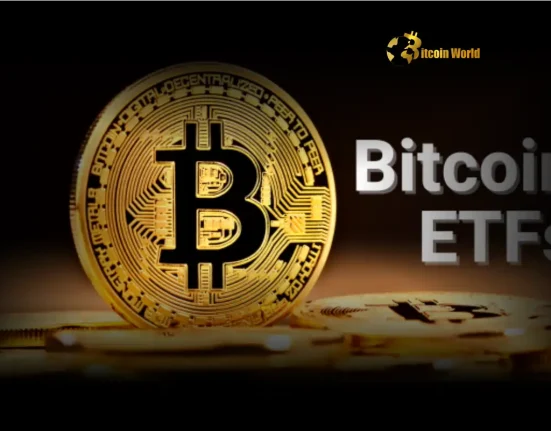 US Spot Bitcoin ETF Market Sees Unexpected $86M Outflows