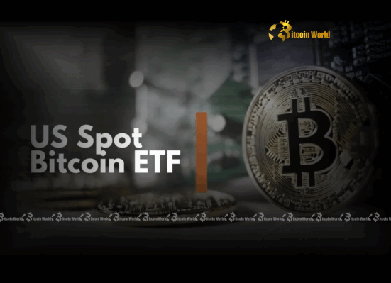 US Spot Bitcoin ETFs Remarkable $588.6M Inflow Ignites Market Optimism