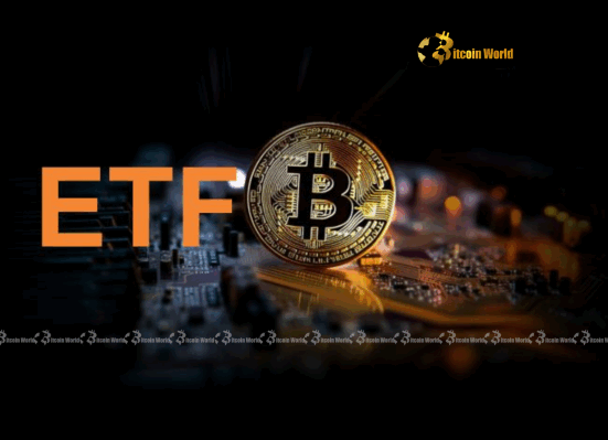 US Spot Bitcoin ETFs Soar $497.57M Inflows Mark 14-Day Winning Streak