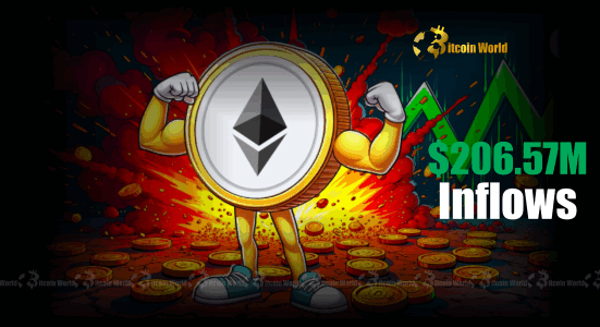 US Spot Ethereum ETFs Witness Monumental $206.57M Inflows, Fueling Market Growth