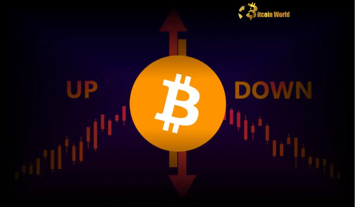 US Stock Market Explodes: What This Bullish Rally Means for Crypto