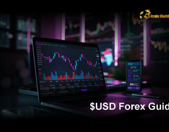 USD Forex Guide: Conversions and EUR/USD Forecast