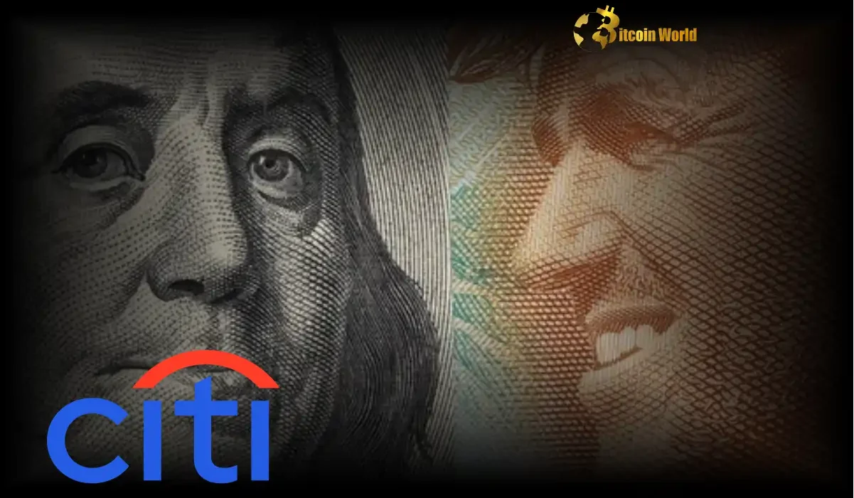 USD Outlook: Citi's Critical Bearish Forecast and Stronger Saudi Riyal View