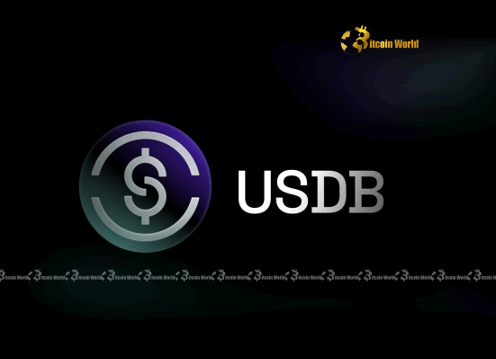 USDB Stablecoin: A Revolutionary Leap for Native Bitcoin DeFi