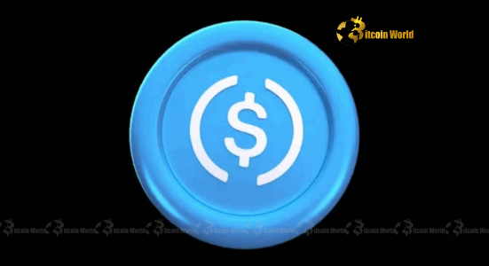 USDC North Korea: Alarming Claims Rock Circle's Compliance Efforts