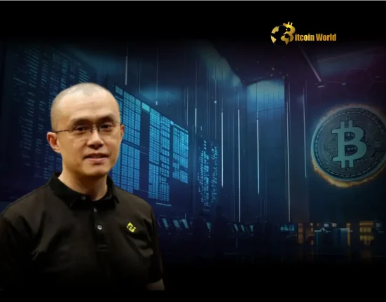 Unlock Stronger Bitcoin Holding CZ Emphasizes Crypto Education