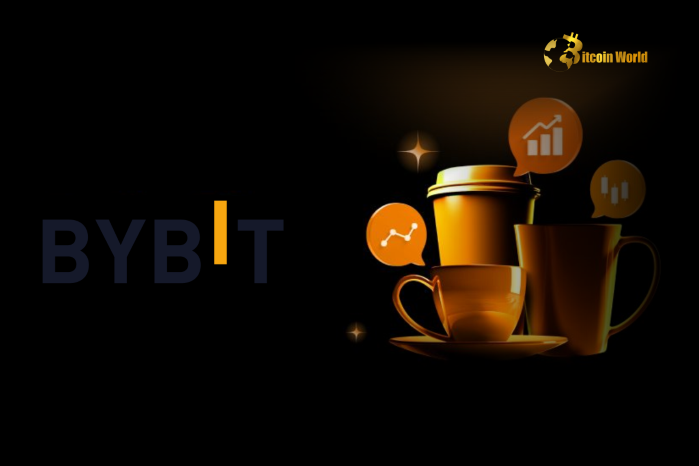 Unshaken Bybit Holds Strong $19.5B Assets Amidst Massive Withdrawal Wave: A Beacon of Crypto Exchange Security logo