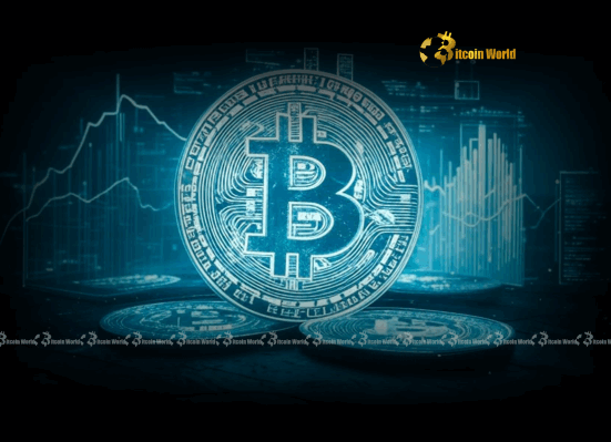 Unveiling Bitcoin’s Destiny On-Chain Metrics Point to Astonishing Upside Potential