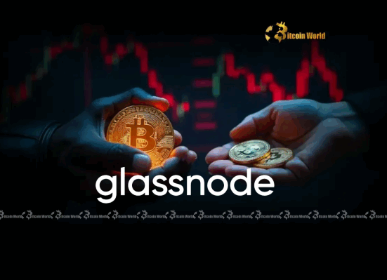 Unveiling Crucial Bitcoin Accumulation Trends Glassnode Reveals Divergent Holder Strategies