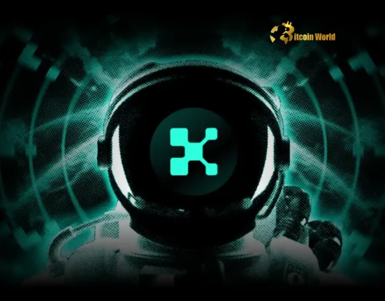 Unveiling the Secret Korean Crypto Users&rsquo; Unwavering Faith in KAITO Token &ndash; A 50% Higher Long-Term Hold Rate!