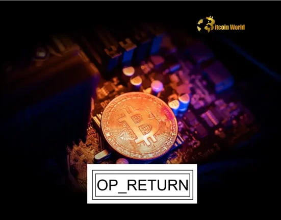 Urgent Bitcoin OP_RETURN Debate: Developers Propose Radical Change