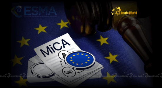 Urgent ESMA MiCA Scrutiny Unveils Alarming Malta Crypto Authorization Concerns