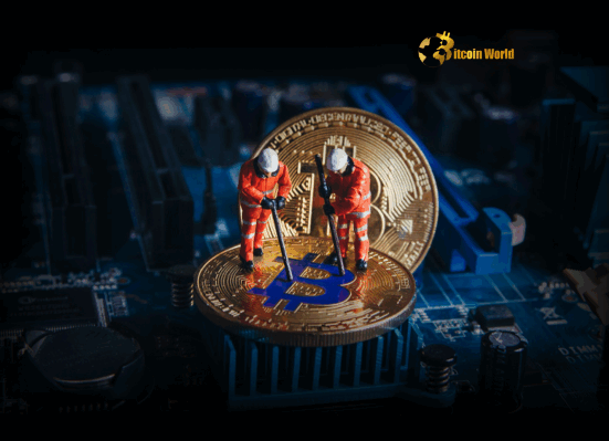 Urgent Shift Bitcoin Mining Giants Expand US Production Amid China Tariffs