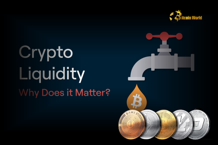 Urgent Warning: Crypto Market Liquidity Crisis Signals Extreme Volatility Ahead, Says DWF Labs Co-founder