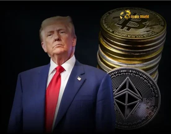 Urgent Warning Trump Crypto Ventures Trigger Political Risk for US Regulations