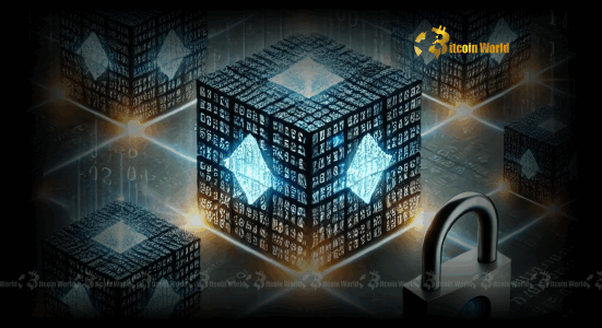 Validium Network’s Revolutionary Leap Embracing Avail for Enhanced Blockchain Scalability