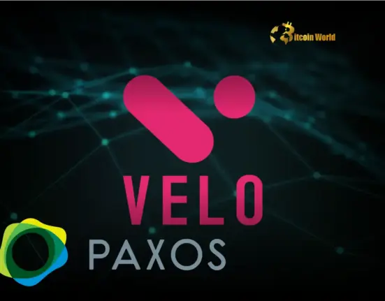 Velo Labs Announces Crucial Paxos Partnership for USDL Stablecoin