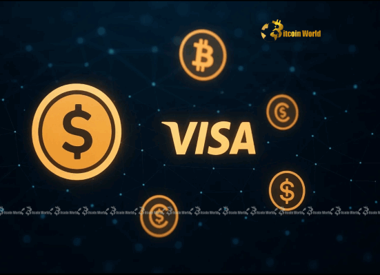 Visa Stablecoin Vision: How a Global Payment Giant is Revolutionizing Digital Currency