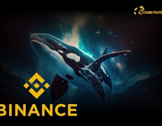 Analysis: Whale Purchases on Binance Drive Bitcoin Above $100K