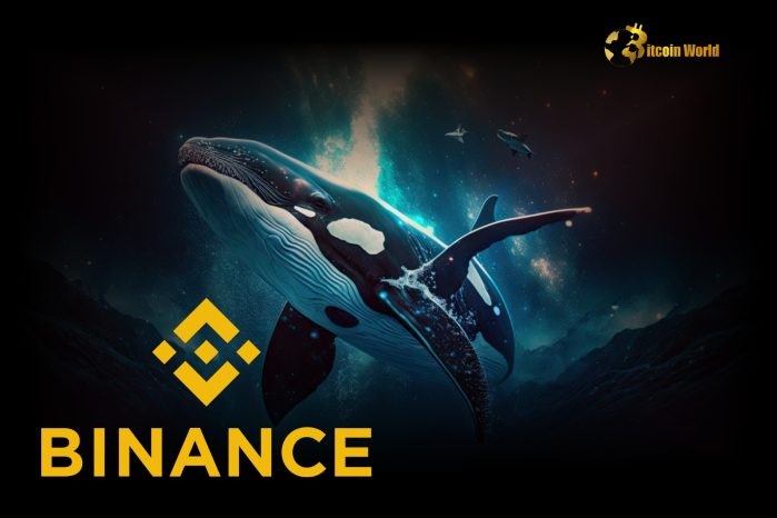 Analysis: Whale Purchases on Binance Drive Bitcoin Above $100K