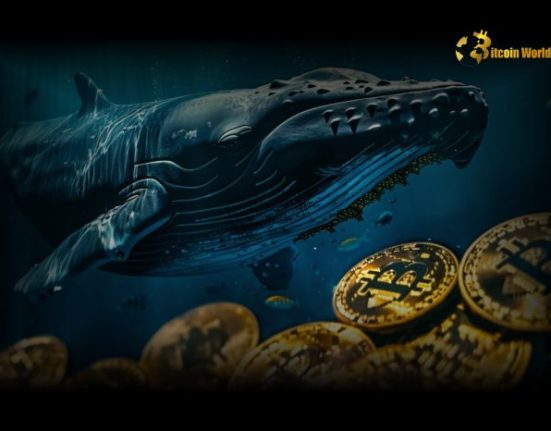 Whales Bought More Bitcoin Despite Dip