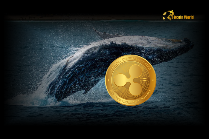 Whales Purchase $1 Billion Worth of XRP in Just 48 Hours