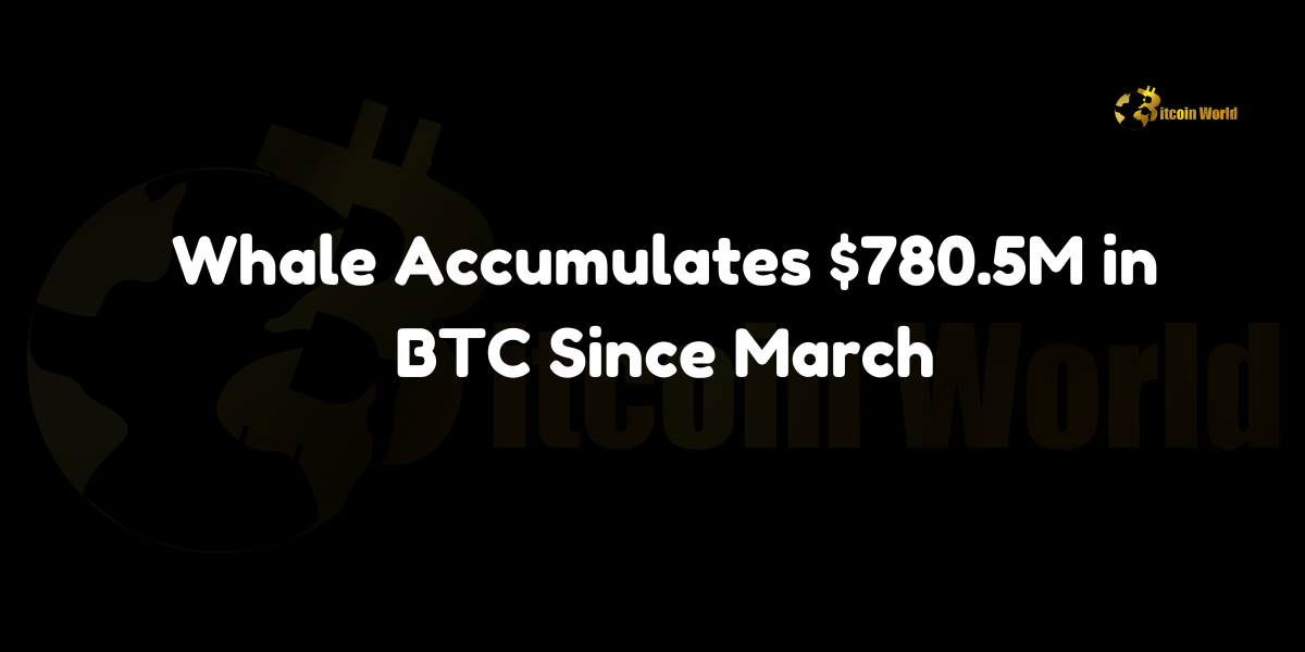 Whale accumulates $780.5M in BTC since March, purchasing 11,658 BTC at an average of $66,953 per coin.