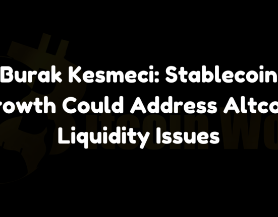 Burak Kesmeci: Stablecoin Growth Could Address Altcoin Liquidity Issues