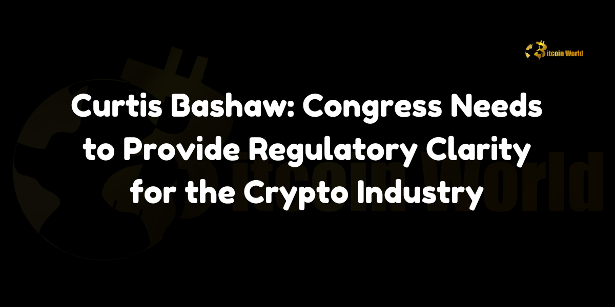 Curtis Bashaw: Congress Needs to Provide Regulatory Clarity for the Crypto Industry