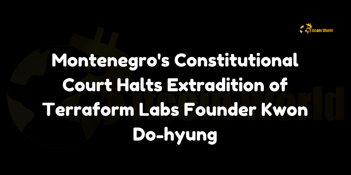 Montenegro halts extradition of Terraform Labs founder Kwon Do-hyung. Explore the reasons behind the Constitutional Court's decision and its implications for the crypto industry.