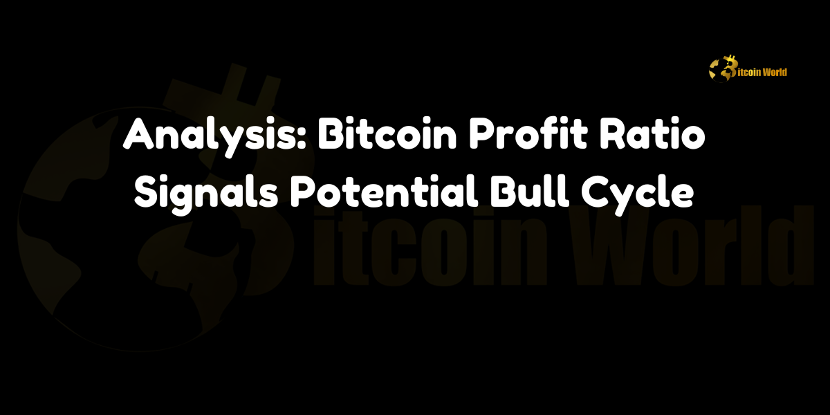 Analysis-Bitcoin