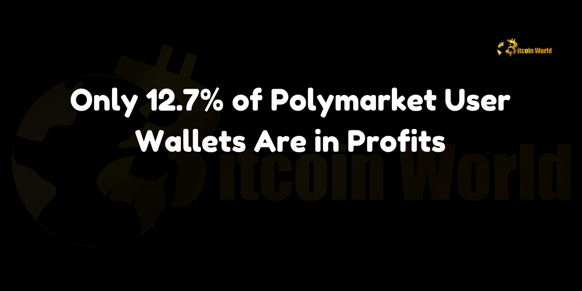 Polymarket User Wallets