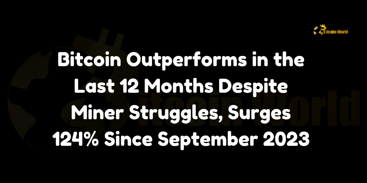 Bitcoin Outperforms