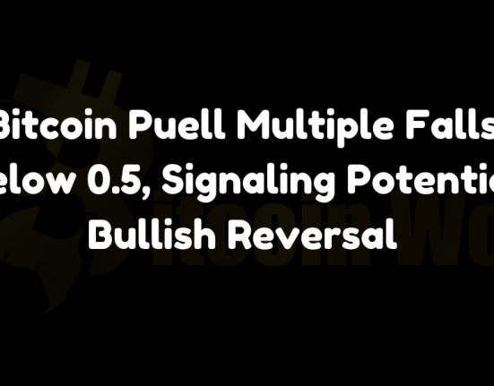 Bitcoin Puell Multiple Falls