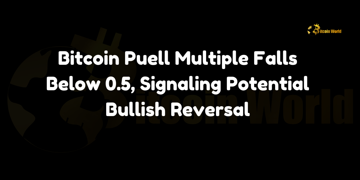 Bitcoin Puell Multiple Falls