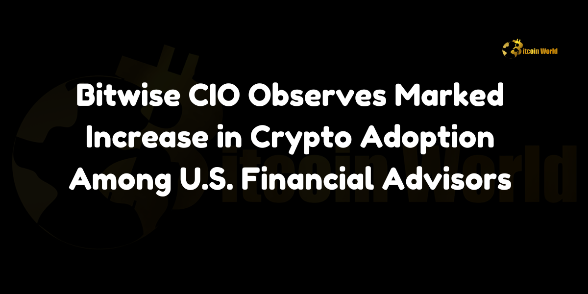 Bitwise CIO Observes Marked Increase in Crypto