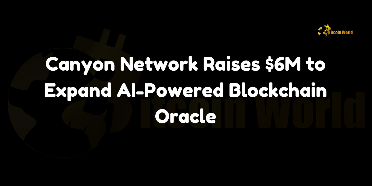 Canyon Network raises $6M to expand AI-powered blockchain oracle, focusing on security, scalability, and DeFi partnerships. Learn more about their innovative approach.