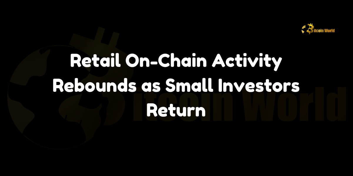 Retail on-chain activity rebounds as small investors return, indicating increased market confidence and lower risk aversion.