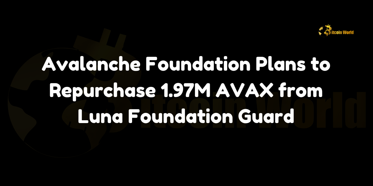 Avalanche Foundation