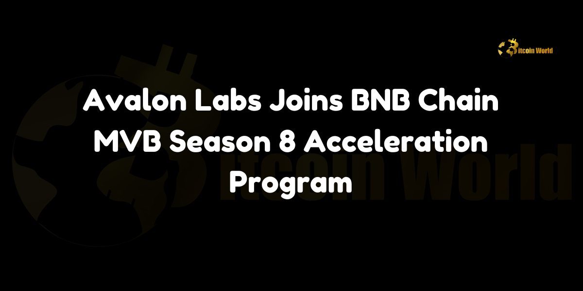 Avalon Labs joins BNB Chain's MVB Season 8 Acceleration Program, becoming a leading project in Bitcoin DeFi.