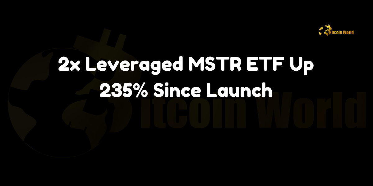 The T-REX 2X Long MSTR ETF (MSTU) surges by 235% since its launch, boasting an annualized return of 57,000%.