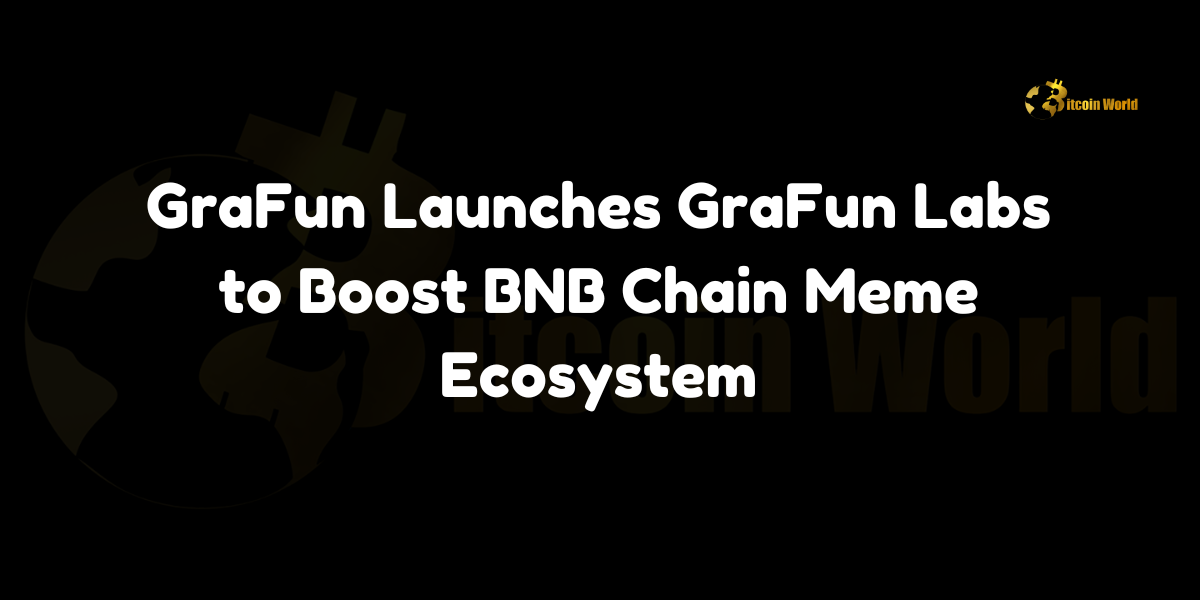 GraFun launches GraFun Labs to boost the BNB Chain meme coin ecosystem. Learn how this initiative supports emerging meme projects through partnerships with DWF Labs and Floki.