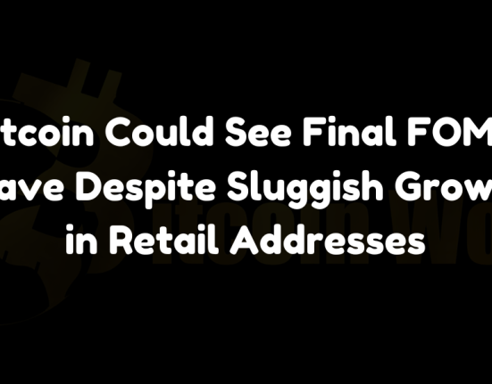 Bitcoin Could See Final FOMO Wave Despite Sluggish Growth in Retail Addresses