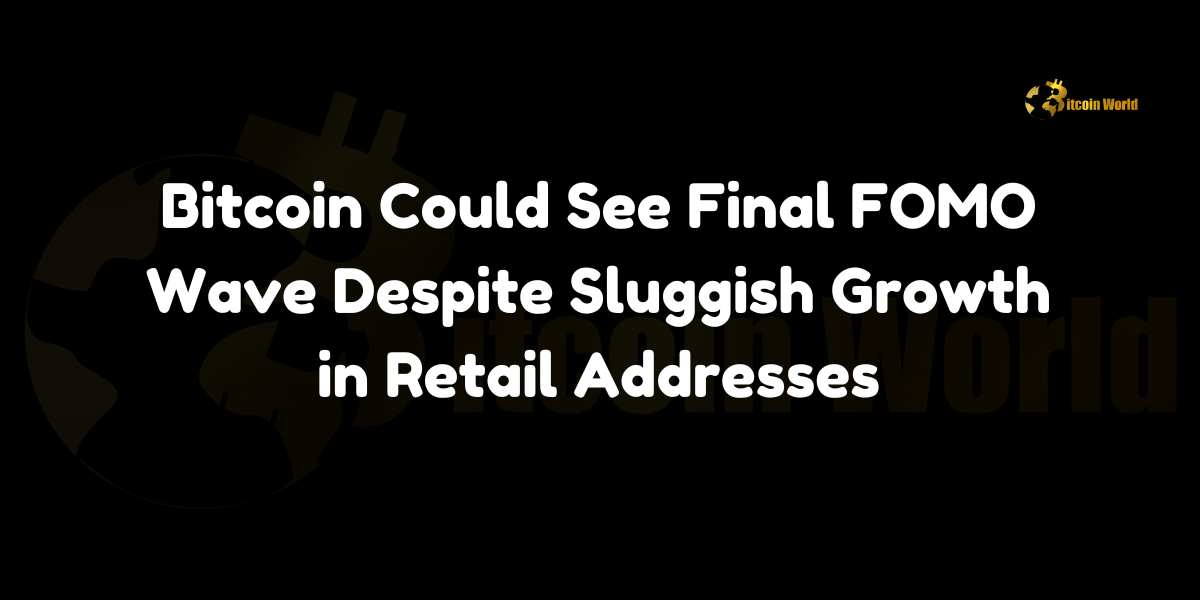 Bitcoin Could See Final FOMO Wave Despite Sluggish Growth in Retail Addresses