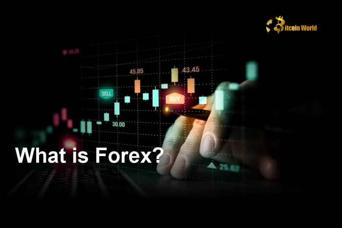 What is Forex? A Comprehensive Guide to the World of Forex Trading