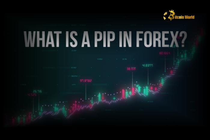 What is a Pip in Forex? Understanding Pips and Their Role in Trading